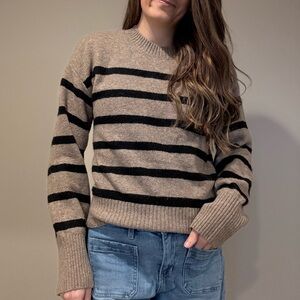 Dress Forum Black and Tan Striped Sweater